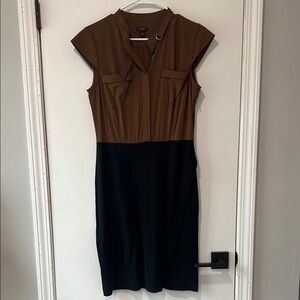 Brown and Black Women's Dress